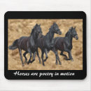 Recherche de chevaux sauvages tapis souris Poulain