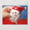 Suche nach niedlicher hamster postkarten Weihnachten