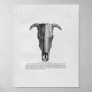 Recherche de crânes taureau posters Vache