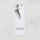 Recherche de petit oiseau photographie Nature