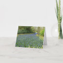 Suche nach hyazinthen karten Blumen