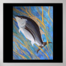 Suche nach thunfisch poster Sport
