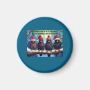 Recherche de rapaces magnets Nature