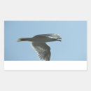 Recherche de oiseaux vol autocollants Bleu