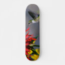 Recherche de beauté skateboards Nature
