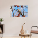 Recherche de arrière plan ciel bleu posters Faune