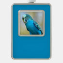 Suche nach budgerigar Parkett