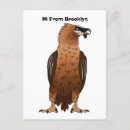 Recherche de vautour cartes postales Oiseau