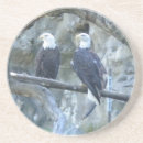 Suche nach kahl untersetzer Vogelvogel