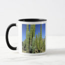 Suche nach pipe tassen Natur