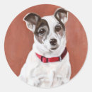Suche nach jrt aufkleber Niedlich