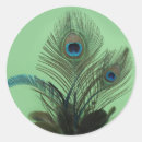 Recherche de joint de paon Vert
