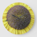 Suche nach sunflower wanduhren Photography