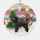 Suche nach portugiesischer wasserhund ornament ornamente Hunde