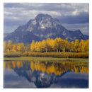 Recherche de miroir carreaux Paysage