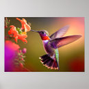 Recherche de hummingbird posters Oiseaux