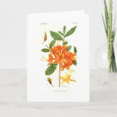 Suche nach azalee karten Botanisch