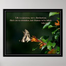 Suche nach india poster Blume
