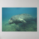 Recherche de endangered art Sea