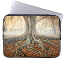 Recherche de racines coques Bois