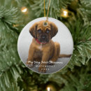 Recherche de animaux mignons ornements Dogs