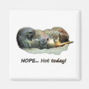 Recherche de cutie magnets Animal