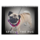 Suche nach mops kalender Welpe