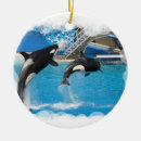 Suche nach schwertwal ornamente Wale
