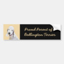 Recherche de lit voiture autocollants Dog