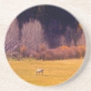 Suche nach weißes pferd untersetzer Land