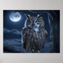 Recherche de hibou gris posters Oiseau