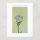 Recherche de roses blanches cartes postales Pour tous