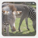 Suche nach grasen sie aufkleber Safari
