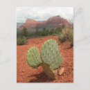 Recherche de figuier cartes postales L'arizona