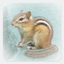 Recherche de chipmunk autocollants Faune