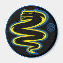 Recherche de serpent magnets Noir