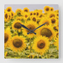 Suche nach sunflower wanduhren Summer