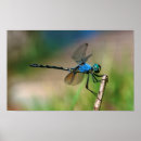 Recherche de adapté posters Calme