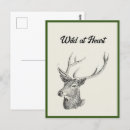 Recherche de cerf cartes postales Pour tous