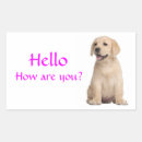 Recherche de chiot labrador autocollants Chiots