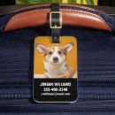 Suche nach corgi gepäckanhänger Haustier