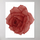Suche nach rote rosen poster Aquarell