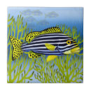 Suche nach riffe fliesen Fische