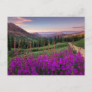 Recherche de crested butte postcards cartes postales Montagnes
