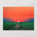 Suche nach serengeti poster Souvenir