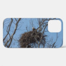 Recherche de aigle coques Nature