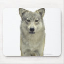 Suche nach konzentration mousepads Hund