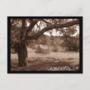 Suche nach eicher postkarten Eichenbaum