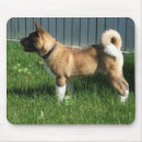 Suche nach glücklicher hund mousepads Spaß