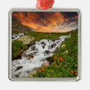 Suche nach mohnblumen ornamente Feld